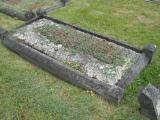 image of grave number 543520